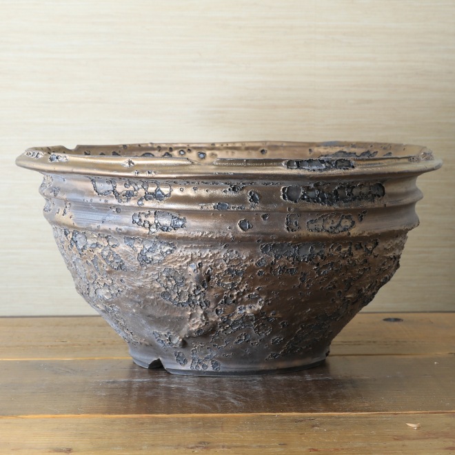 11.1号鉢 高さ約17cm 植木鉢 陶器鉢 塊根植物 コーデックス 【銀河鉢クレーター】 作家 陶芸家 横山雄一作 一点物