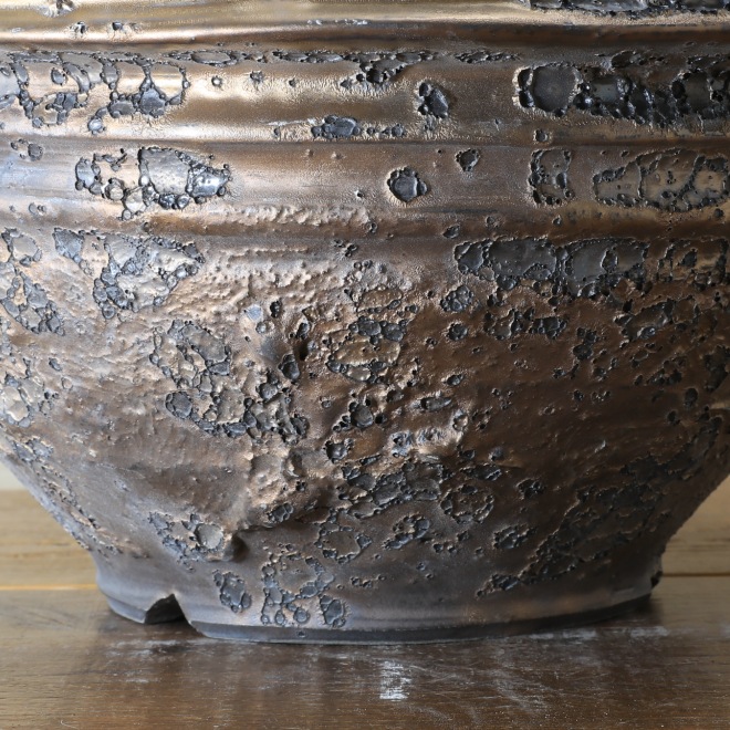11.1号鉢 高さ約17cm 植木鉢 陶器鉢 塊根植物 コーデックス 【銀河鉢クレーター】 作家 陶芸家 横山雄一作 一点物