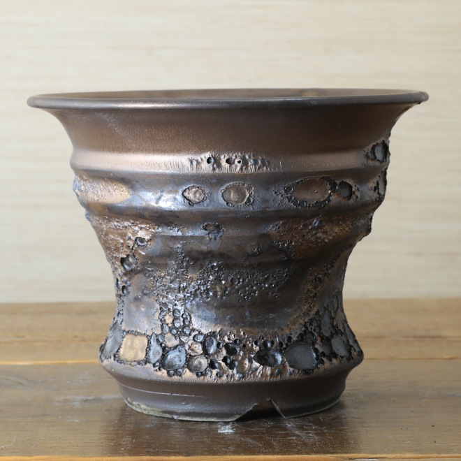 5.8号鉢 高さ約13.5cm 植木鉢 陶器鉢 塊根植物 コーデックス アガベ サボテン 【銀河鉢クレーター】 作家 陶芸家 横山雄一作 一点物