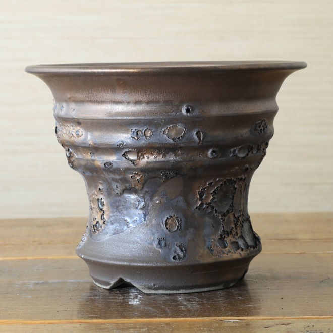 5.8号鉢 高さ約13.5cm 植木鉢 陶器鉢 塊根植物 コーデックス アガベ サボテン 【銀河鉢クレーター】 作家 陶芸家 横山雄一作 一点物