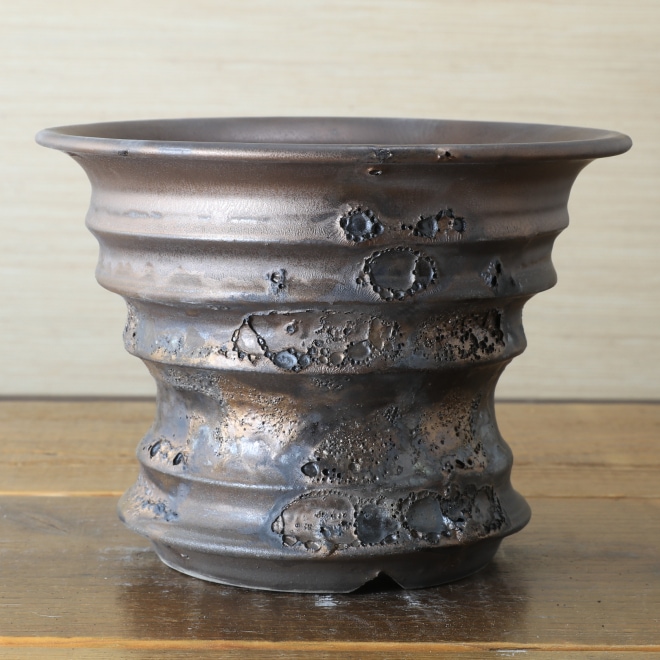 益子焼｜6.3号鉢 高さ約14cm 植木鉢 陶器鉢 塊根植物 コーデックス