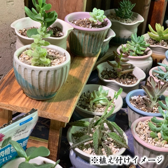【益子焼】 2.5号鉢 植木鉢 おしゃれ しのぎ 陶器 サイズ小 小さめ 多肉植物 多肉用 ミニ植木鉢【開き形・薄ピンク&白系色・縁パープル・単品1個】