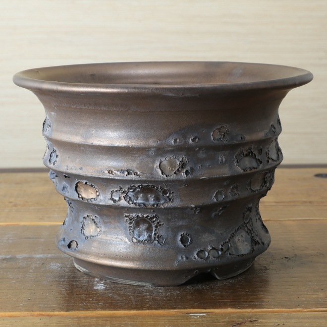 5.8号鉢 高さ約11.5cm 植木鉢 陶器鉢 塊根植物 コーデックス アガベ サボテン 【銀河鉢クレーター】 作家 陶芸家 横山雄一作 一点物