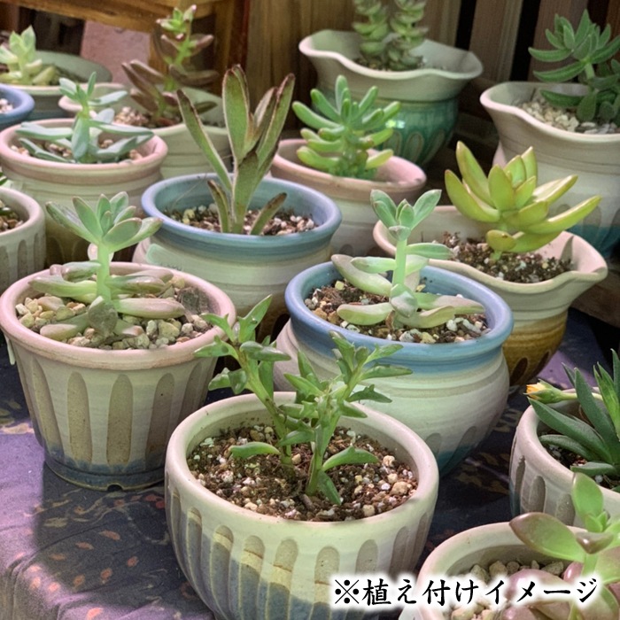 益子焼 益子焼 植木鉢 おしゃれ しのぎ 陶器 サイズ小 小さめ 多肉植物 多肉用 ミニ植木鉢 丸形 ブルー 白系色 単品１個 かわいい益子焼 益子焼 通販 益子焼窯元よこやま