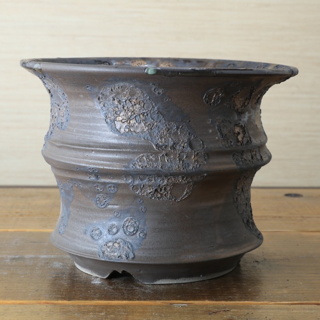 6.3号鉢 高さ約14cm 植木鉢 陶器鉢 塊根植物 アガベ サボテン コーデックス 【銀河鉢シリーズ】 作家 陶芸家 横山雄一作 一点物
