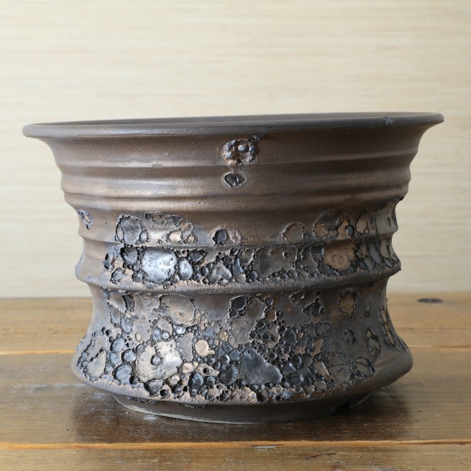 6.8号鉢 高さ約13.5cm 植木鉢 陶器鉢 塊根植物 コーデックス アガベ サボテン 【銀河鉢クレーター】 作家 陶芸家 横山雄一作 一点物