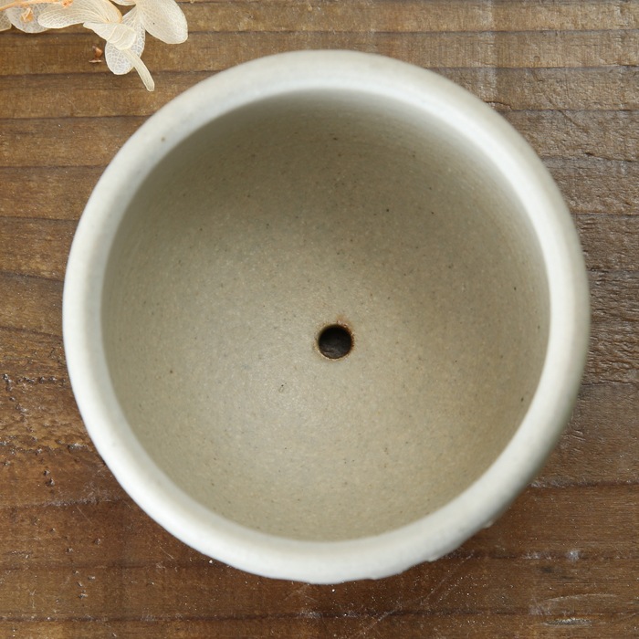 やきものはっち やきものHACCHI マトちゃん 益子焼 笠間焼 多肉植物