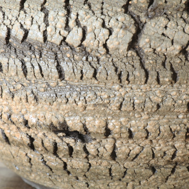 【益子焼】 6.5号鉢 高さ約14cm 植木鉢 陶器鉢 塊根植物 アガベ サボテン コーデックス 【炸裂紋鉢 大地の鼓動】 作家 陶芸家 横山雄一作 一点物