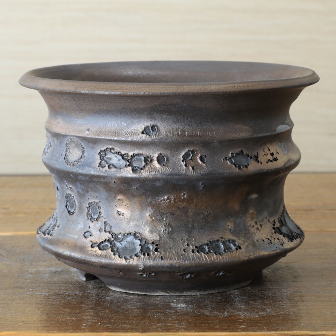 4.6号鉢 高さ約10cm 植木鉢 陶器鉢 塊根植物 コーデックス アガベ サボテン 【銀河鉢クレーター】 作家 陶芸家 横山雄一作 一点物