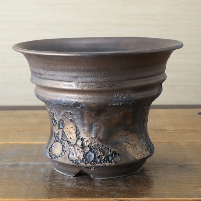 5.6号鉢 高さ約12.5cm 植木鉢 陶器鉢 塊根植物 コーデックス アガベ サボテン 【銀河鉢クレーター】 作家 陶芸家 横山雄一作 一点物