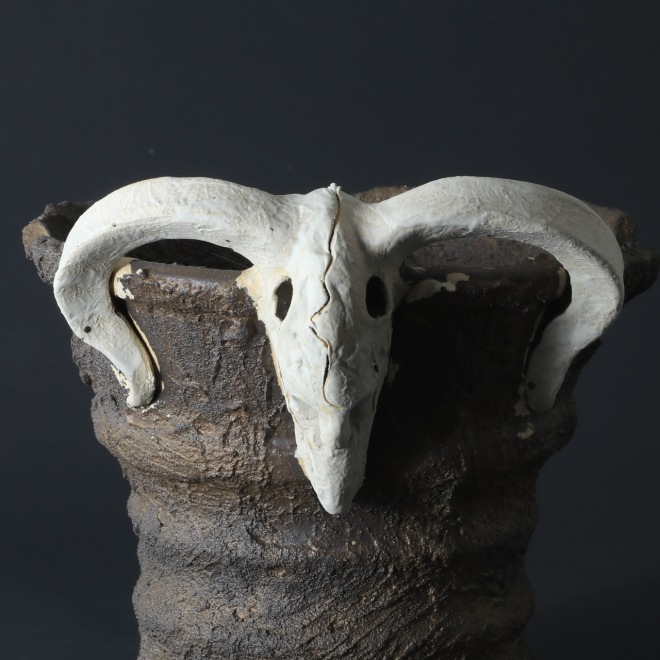 5.3号鉢 高さ約15cm 植木鉢 陶器鉢 塊根植物 アガベ サボテン コーデックス 【GOAT鉢シリーズ】 作家 陶芸家 横山貴史作 一点物