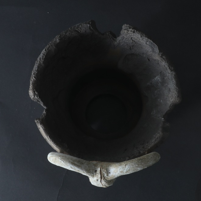 4.6号鉢 高さ約12cm 植木鉢 陶器鉢 塊根植物 アガベ サボテン コーデックス 【GOAT鉢シリーズ】 作家 陶芸家 横山貴史作 一点物