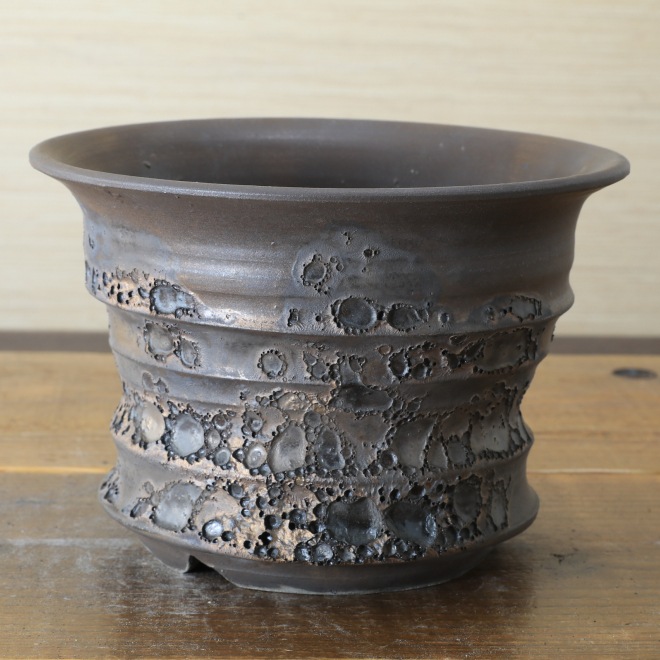 5.8号鉢 高さ約12cm 植木鉢 陶器鉢 塊根植物 コーデックス アガベ サボテン 【銀河鉢クレーター】 作家 陶芸家 横山雄一作 一点物