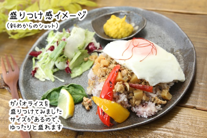 益子焼 炭化焼シリーズ  ワンプレート皿 ピザ皿　約26.5cm　さくら桜 単品1枚