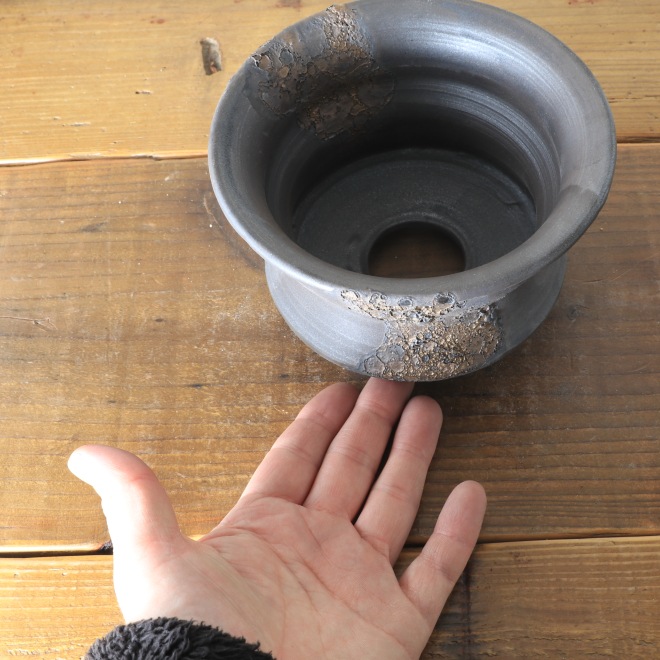 【益子焼】 5号鉢 高さ約9.5cm 植木鉢 陶器鉢 塊根植物 アガベ サボテン コーデックス 【銀河鉢シリーズ】 作家 陶芸家 横山雄一作 一点物