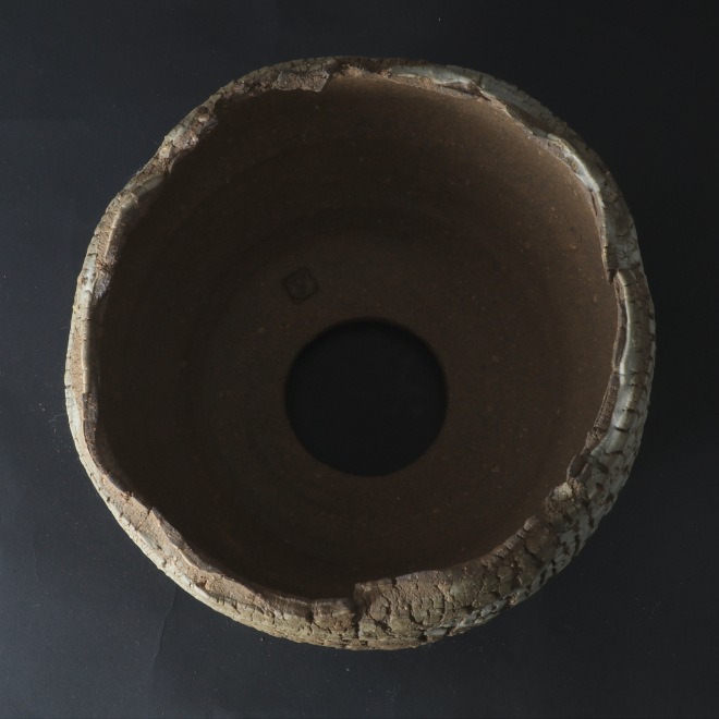 6.5号鉢 高さ約12.5cm 植木鉢 陶器鉢 塊根植物 アガベ サボテン コーデックス 【炸裂紋鉢 大地の鼓動】 作家 陶芸家 横山雄一作 一点物