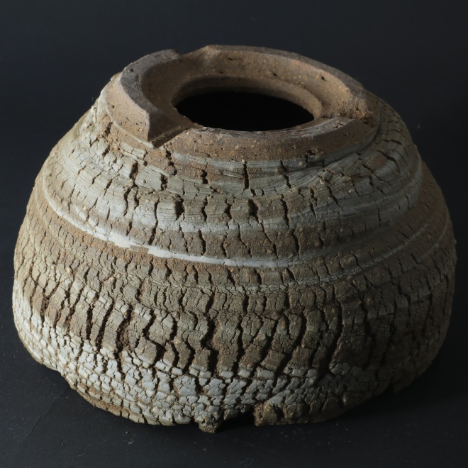 6.5号鉢 高さ約12.5cm 植木鉢 陶器鉢 塊根植物 アガベ サボテン コーデックス 【炸裂紋鉢 大地の鼓動】 作家 陶芸家 横山雄一作 一点物