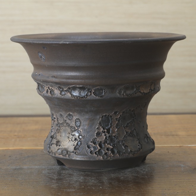 5.7号鉢 高さ約12.5cm 植木鉢 陶器鉢 塊根植物 コーデックス アガベ サボテン 【銀河鉢クレーター】 作家 陶芸家 横山雄一作 一点物