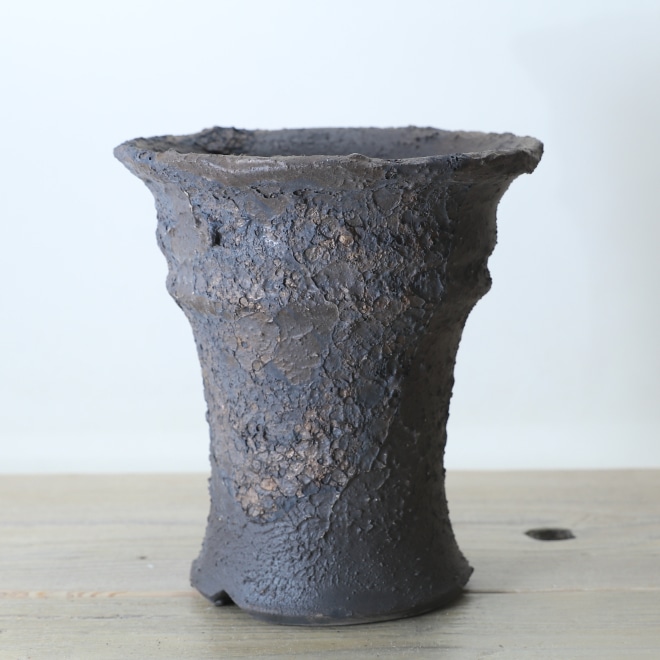 【益子焼】 5.6号鉢 高さ約18.5cm 植木鉢 陶器鉢 塊根植物 オペルクリカリア パキプス 【砂漠シリーズ】 作家 陶芸家 横山雄一作