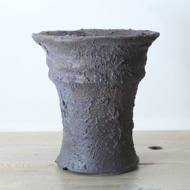 【益子焼】 5.6号鉢 高さ約18.5cm 植木鉢 陶器鉢 塊根植物 オペルクリカリア パキプス 【砂漠シリーズ】 作家 陶芸家 横山雄一作