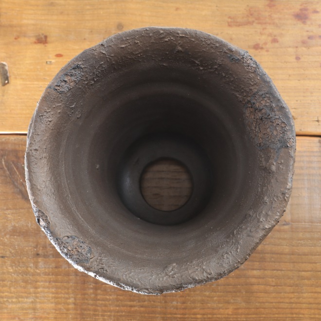 塊根(パキプス)益子焼き　鉢 塊根(パキプス)益子焼き 鉢 塊根(パキプス)益子焼き 鉢