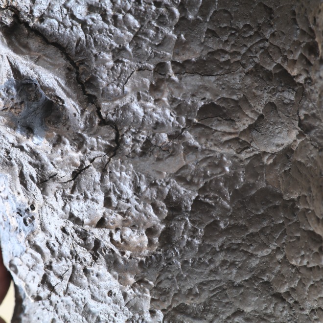 【益子焼】 5.1号鉢 高さ約17cm 植木鉢 陶器鉢 塊根植物 コーデックス アガベ 【溶岩流lavaシリーズ】 作家 陶芸家 横山雄一作 一点物