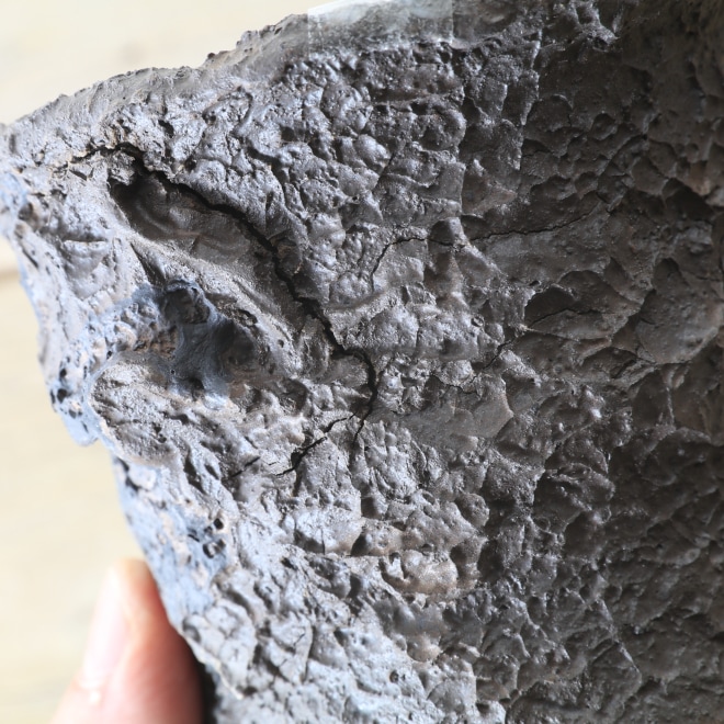 【益子焼】 5.1号鉢 高さ約17cm 植木鉢 陶器鉢 塊根植物 コーデックス アガベ 【溶岩流lavaシリーズ】 作家 陶芸家 横山雄一作 一点物