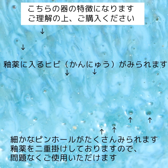 【益子焼】 小カレーにぴったり ぽってり厚みのある カレー皿 カレーボウル さわかやカラーの流れるホワイト＆ライトグリーン 【単品１個】
