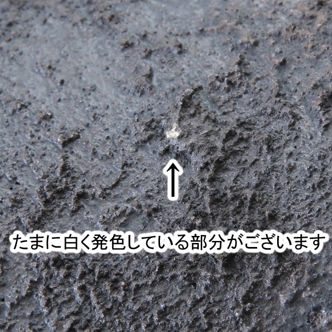 【益子焼】5.3号鉢 植木鉢 陶器鉢 塊根植物 アガベ サボテン 【砂漠シリーズ】 浅め高さ約6～6.5cm 作家 陶芸家 横山雄一作 一点物　（傾きあり）