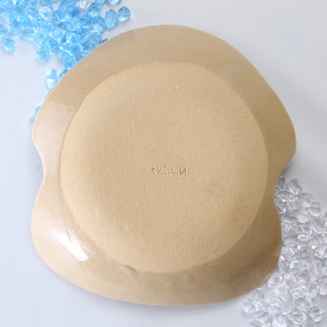 【益子焼】おしゃれ 海の生き物たちシリーズ イカ イカの浅めなお皿 中皿 【単品1枚】