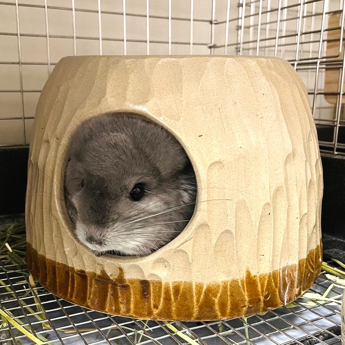 【益子焼】 かわいい ペットのお家 チンチラの砂浴び容器・寝床・隠れ家に「陶器のちら壺（ちらつぼ）」 直径約25cm。高さ約17cm【単品販売】※送料込み※沖縄は送料+880円別途