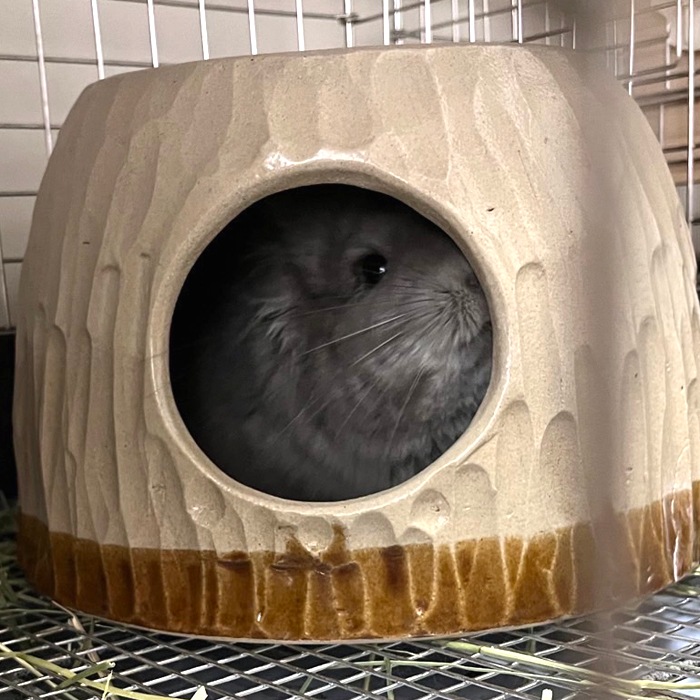 【益子焼】 かわいい ペットのお家 チンチラの砂浴び容器・寝床・隠れ家に「陶器のちら壺（ちらつぼ）」 直径約25cm。高さ約17cm【単品販売】※送料込み※沖縄は送料+880円別途