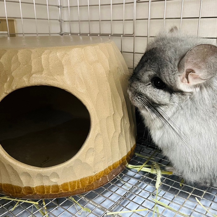 【益子焼】 かわいい ペットのお家 チンチラの砂浴び容器・寝床・隠れ家に「陶器のちら壺（ちらつぼ）」 直径約25cm。高さ約17cm【単品販売】※送料込み※沖縄は送料+880円別途