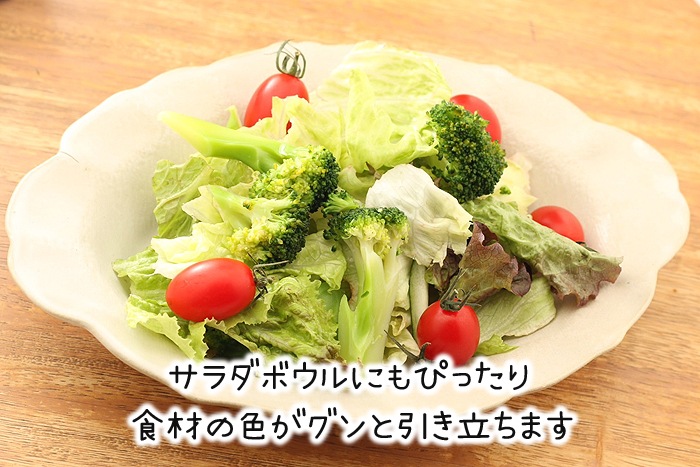 【益子焼】 おうちカレーにちょうどいいサイズ オーバル 洋風 リム フリル カレーボウル カレー皿 生地が見える白マット釉 【単品１枚】
