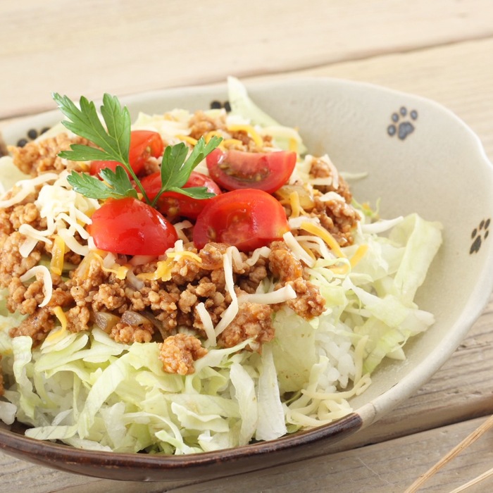 【益子焼】 肉球シリーズ 小カレーにぴったり オーバルカレーボウル カレー皿 キャラメル色の飴釉【単品１枚】