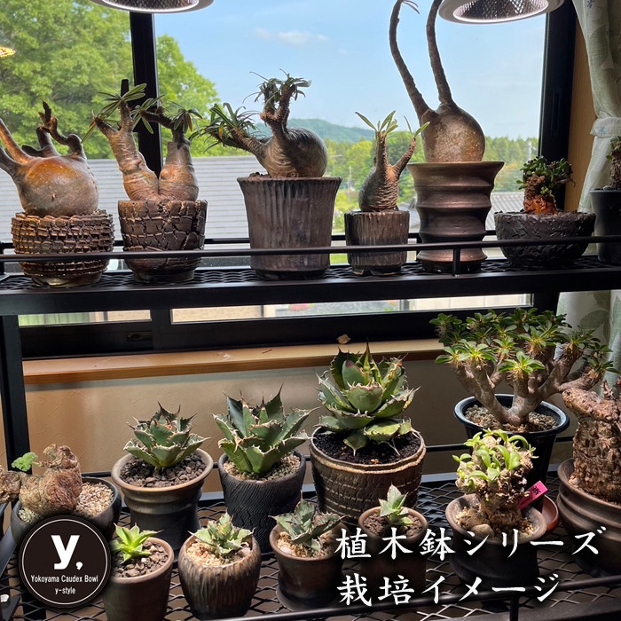 【益子焼】 4.3号鉢 植木鉢 陶器鉢 塊根植物 アガベ サボテン 【深山金鉢】 高さ約15cm 一点物 作家 陶芸家 横山雄一作