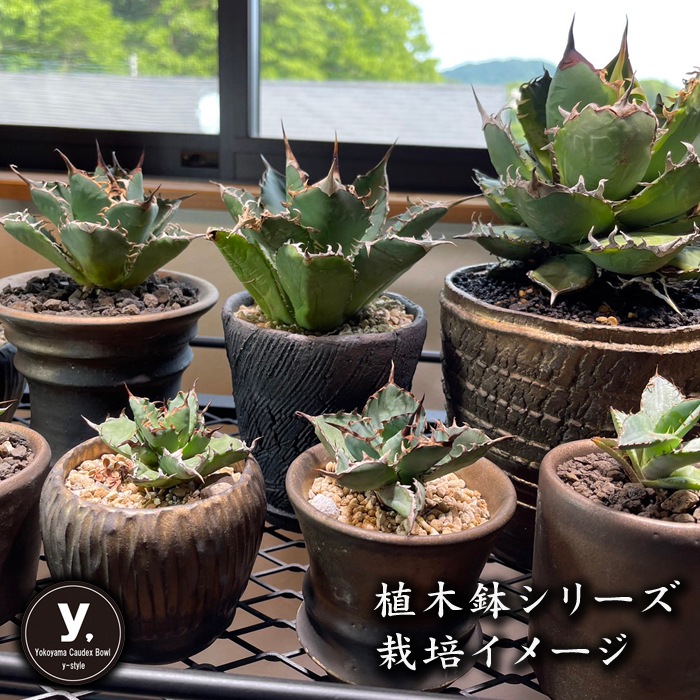 【益子焼】 植木鉢 陶器鉢 塊根植物 アガベ サボテン 【深山金鉢・しのぎ手】 高さ約14cm 一点物 作家 陶芸家 横山雄一作