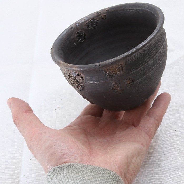 【益子焼】 3.6号鉢 植木鉢 陶器鉢 塊根植物 パキポディウム グラキリス 【黒金銀河鉢・Black&Gold Garaxy】 丸形 高さ7.5cm 作家 陶芸家 横山雄一作