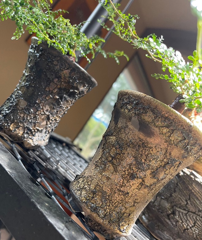 【益子焼】 3.1号鉢 植木鉢 陶器鉢 塊根植物 アガベ サボテン 【NEW銀河鉢クレーター・Black＆Gold・gold多め】 高さ約10.3～11cm 作家 陶芸家 横山雄一作