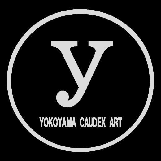 【益子焼】 4.1号鉢 植木鉢 陶器鉢 塊根植物 アガベ 【黒金銀河鉢・Black＆Gold Garaxy】 深さのある鉢 高さ13cm 作家 陶芸家 横山雄一作