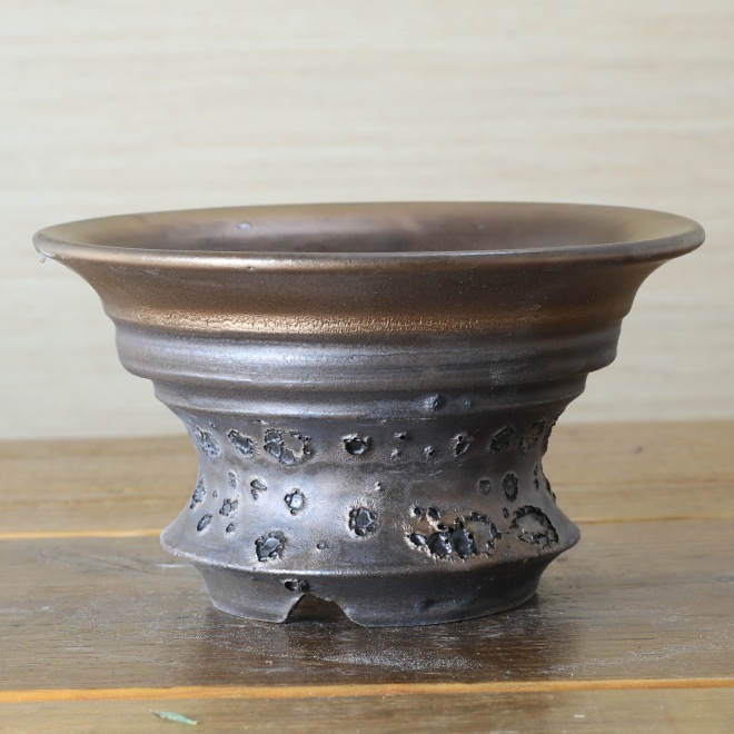 4.6号鉢 高さ約8.5cm 植木鉢 陶器鉢 塊根植物 サボテン 盆栽 ユーフォルビアなどに コーデックス 【銀河鉢シリーズ】 作家 陶芸家 横山雄一作