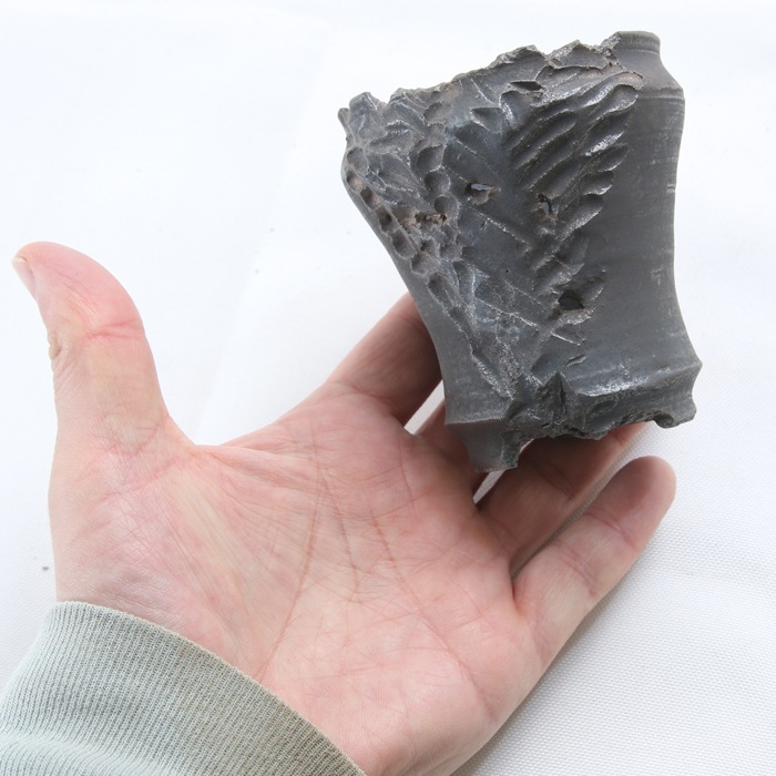 【益子焼】 2.5号鉢 植木鉢 陶器鉢 塊根植物 アガベ サボテン 【彫刻深山金鉢・Black＆Gold】 高さ8～8.5cm 作家 陶芸家 横山雄一作