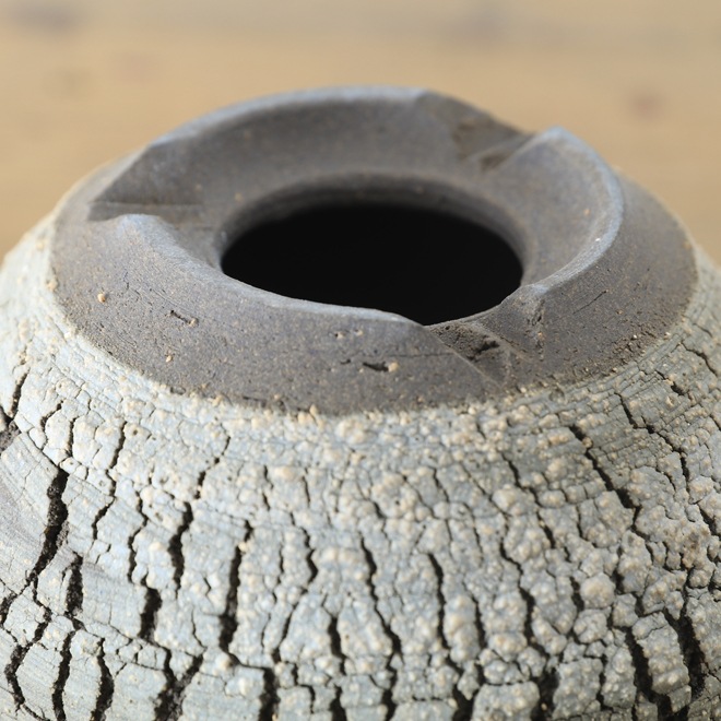 【益子焼】 3.6号鉢 高さ約7.5cm 植木鉢 陶器鉢 塊根植物 アガベ サボテン コーデックス 【炸裂紋鉢 大地の鼓動】 作家 陶芸家 横山雄一作 一点物