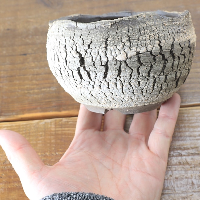 【益子焼】 3.6号鉢 高さ約7.5cm 植木鉢 陶器鉢 塊根植物 アガベ サボテン コーデックス 【炸裂紋鉢 大地の鼓動】 作家 陶芸家 横山雄一作 一点物