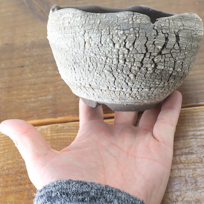 益子焼｜【益子焼】 3.8号鉢 高さ約7.5～8cm 植木鉢 陶器鉢 塊根植物