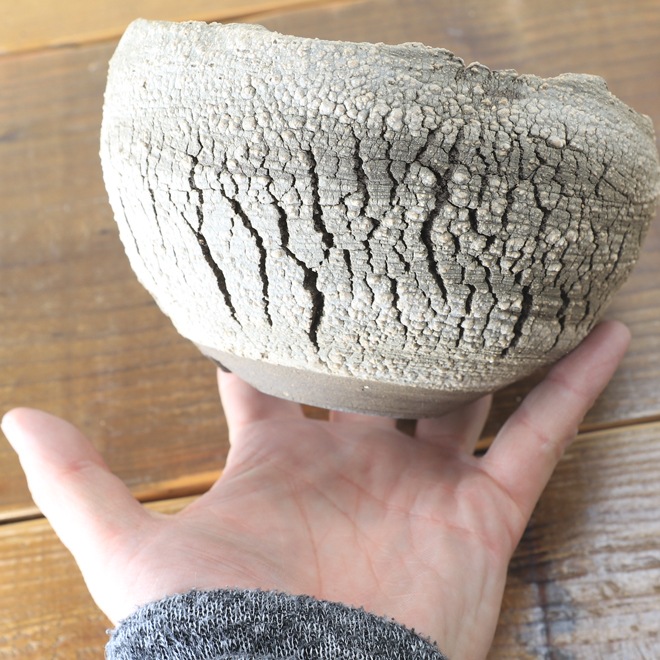 【益子焼】 4.3号鉢 高さ約9cm 側面に穴あり 植木鉢 陶器鉢 塊根植物 アガベ サボテン コーデックス 【炸裂紋鉢 大地の鼓動】 作家 陶芸家 横山雄一作 一点物