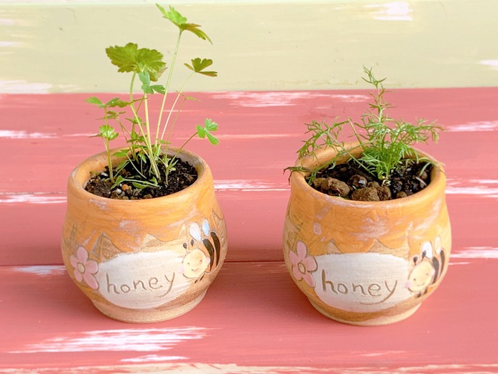 【益子焼】 2.3号鉢 植木鉢 おしゃれ 小さめ 育てる楽しみ！ハニーな植木鉢【植木鉢のみ・単品１個】