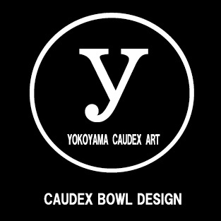 【益子焼】 3.8号鉢 植木鉢 陶器鉢 塊根植物 アガベ サボテン 【黒金銀河鉢・Black＆Gold Garaxy】 高さ約11.7cm 一点物 作家 陶芸家 横山雄一作