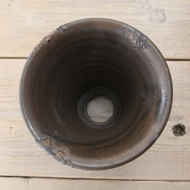 【益子焼】5.8号鉢 植木鉢 陶器鉢 オペルクリカリアパプキス 灌木系塊根植物 アガベ 【NEW銀河鉢クレーター・Black＆Gold】 高さ約18.5cm 作家 陶芸家 横山雄一作　一点物