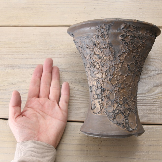 【益子焼】5.3号鉢 植木鉢 陶器鉢 オペルクリカリアパプキス 灌木系塊根植物 アガベ 【NEW銀河鉢クレーター・Black＆Gold】 高さ約17.5cm 作家 陶芸家 横山雄一作　一点物